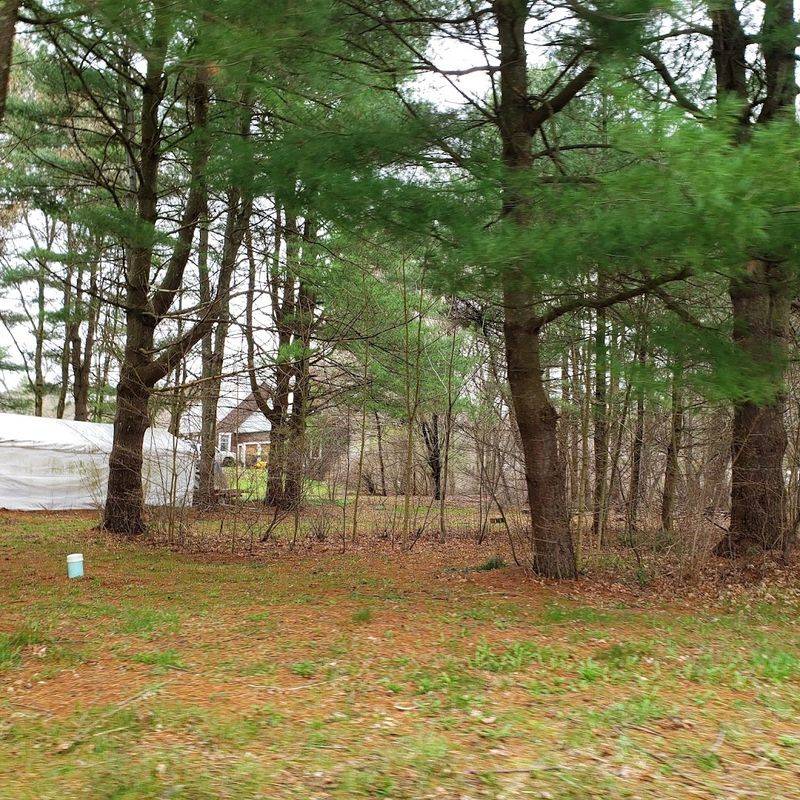Hampshire County