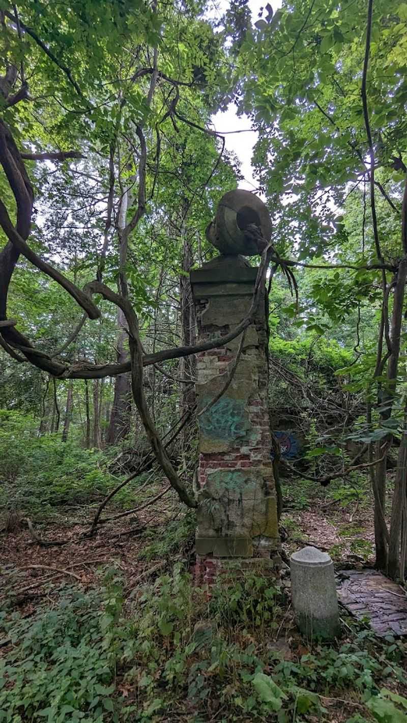 The Climb To Prospect Hill Reveals Foundations Nearly Lost To Time