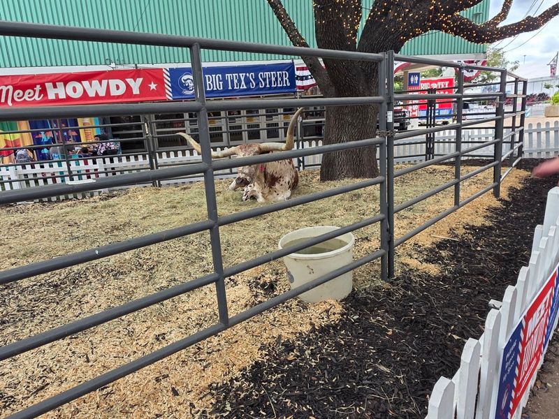 Agriculture Comes Alive Here