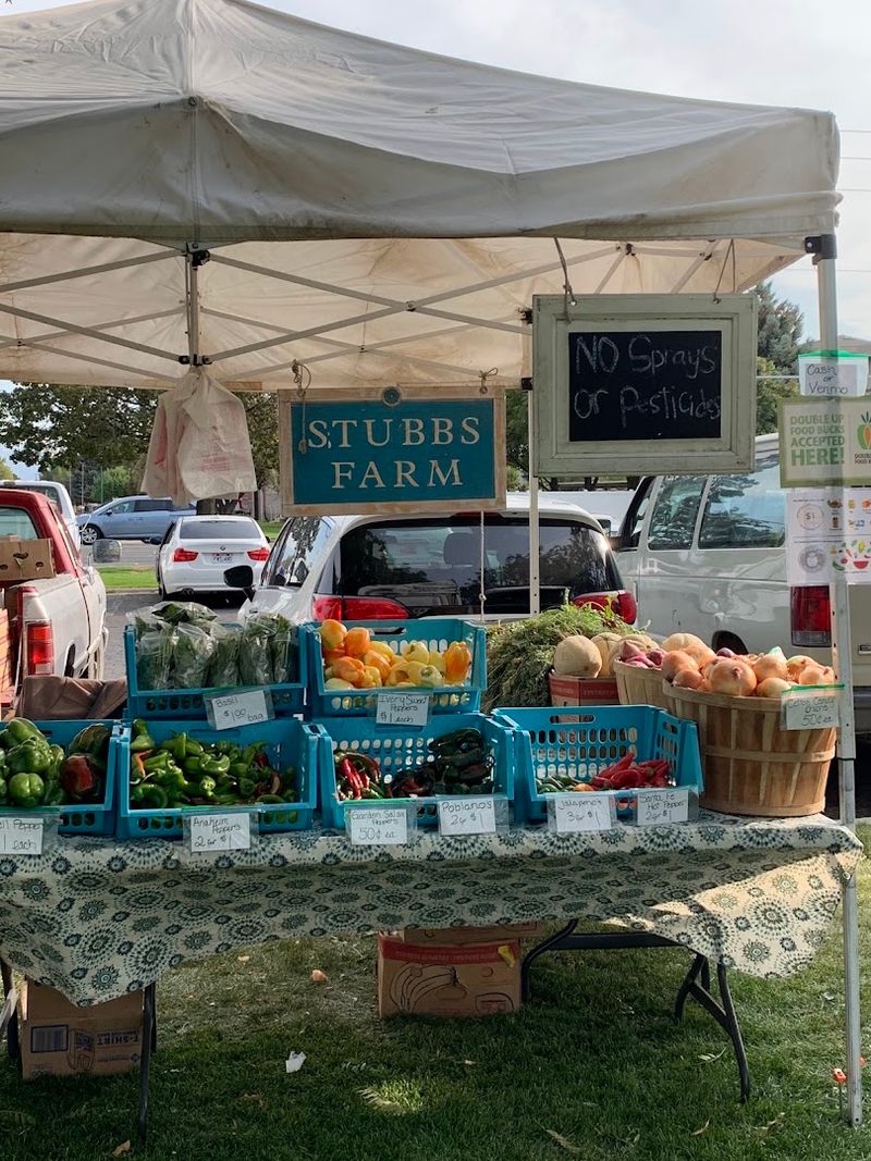 SNAP Benefits and Community Access
