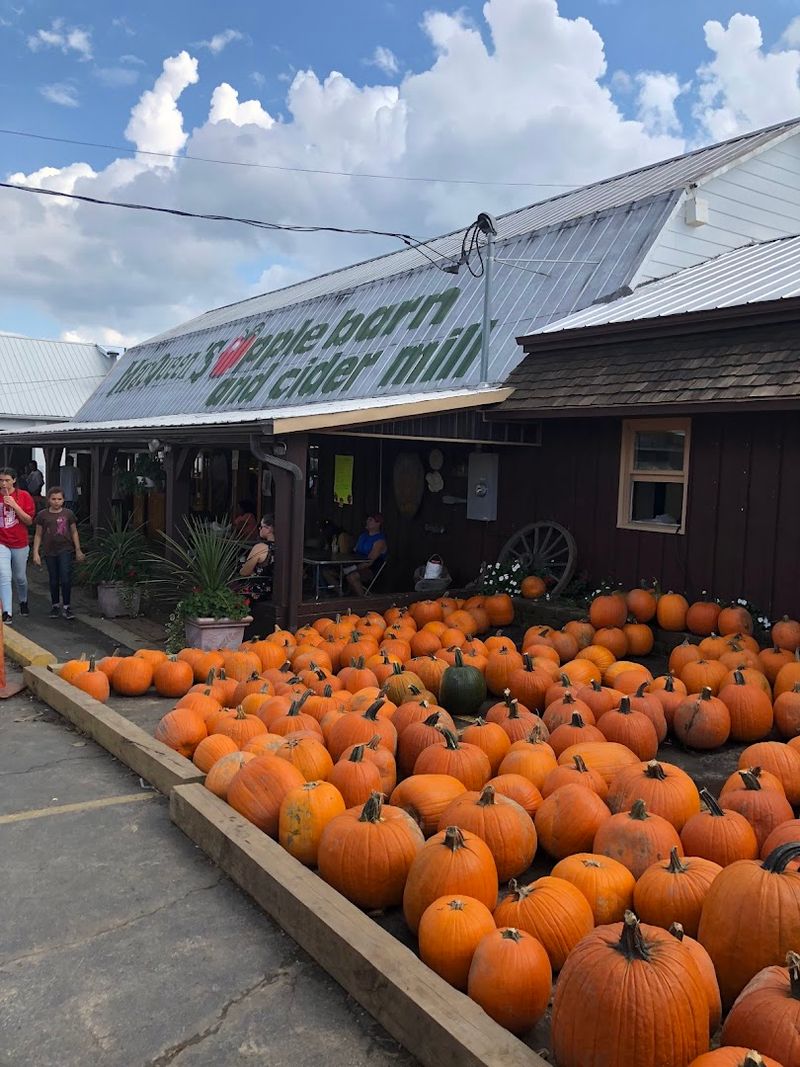 Fall Festivals And Seasonal Fun For Families
