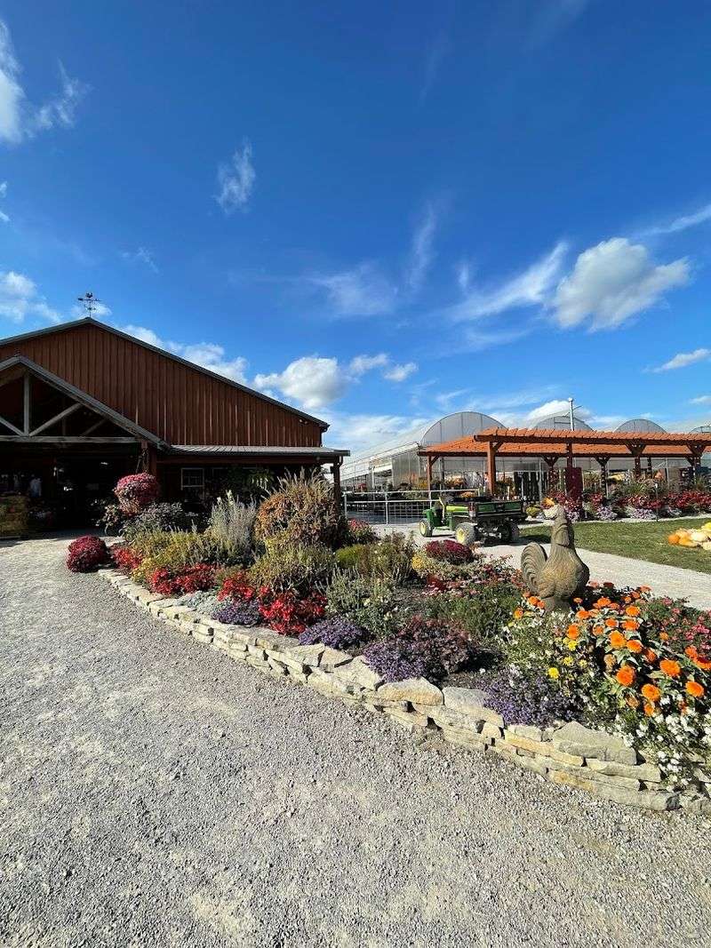 Seasonal Snack Options To Enjoy On Site