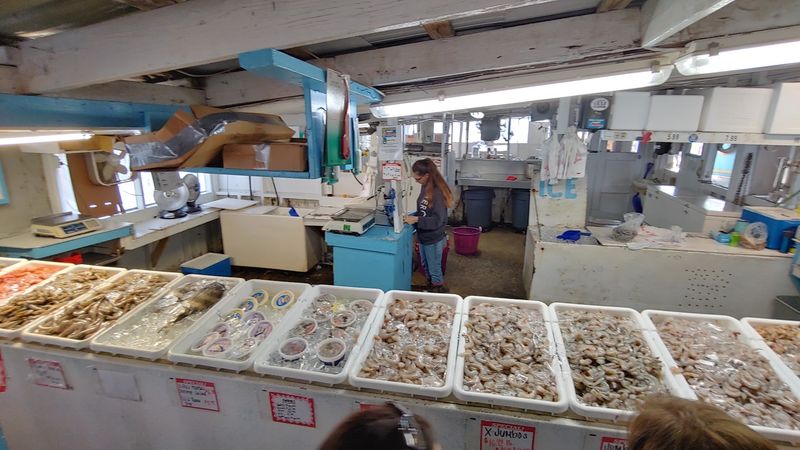 Oysters And Crabmeat Fill Out The Market Cases