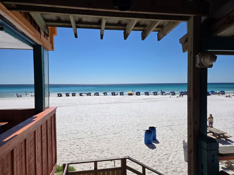 Dining Right On The Beach