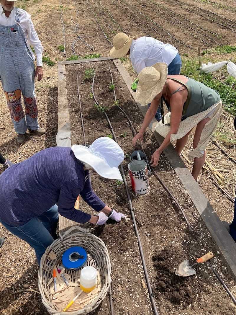 Volunteer Opportunities That Teach Real Skills