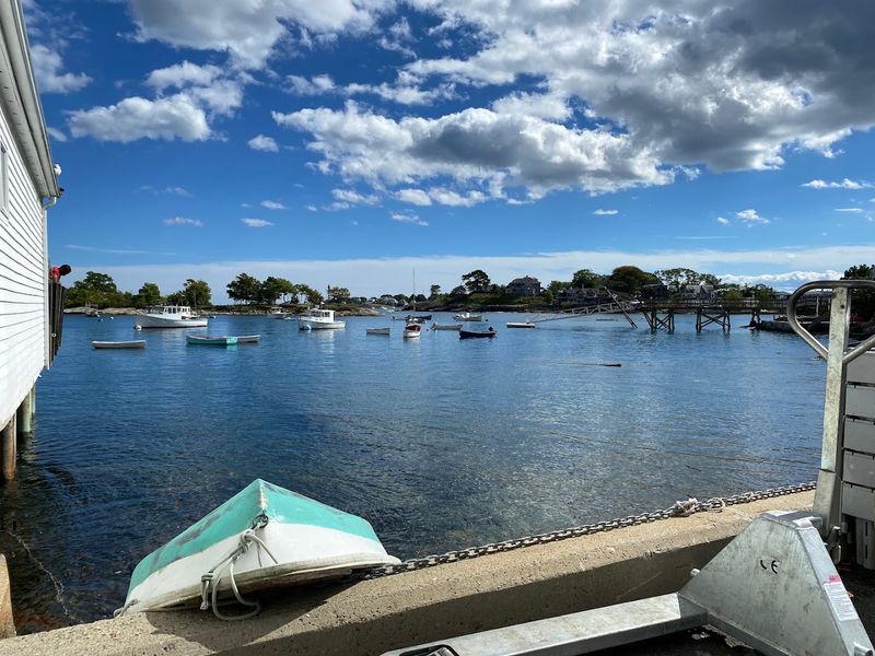 Harbor Views That Steal The Show