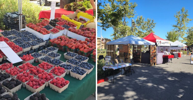 From May To October, This California Park Hosts A Farmers Market Every Wednesday