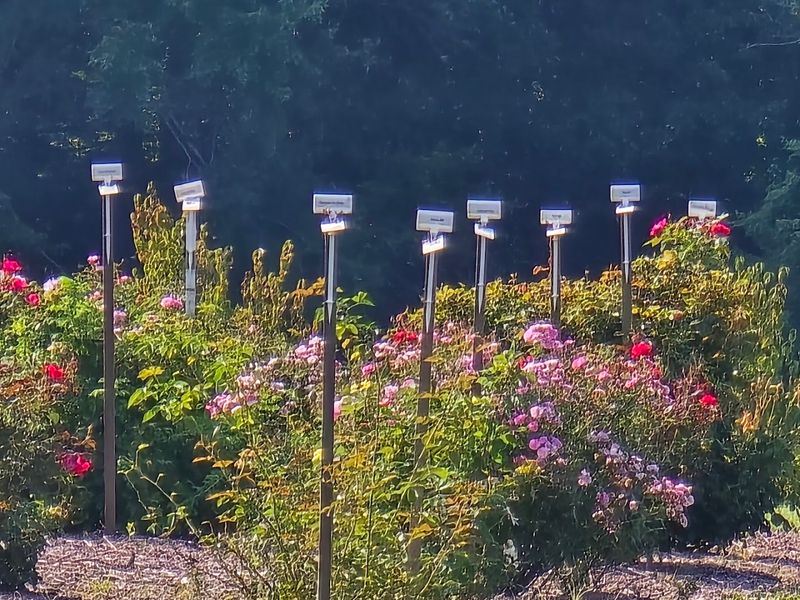 The Garden Shows How Research Can Look Beautiful Too