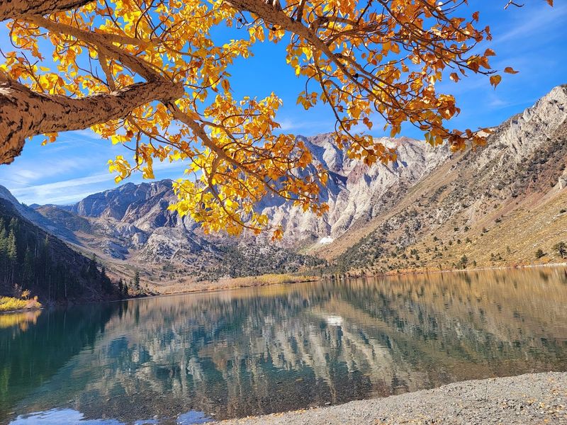 Seasonal Changes Affecting Lake Water Appearance