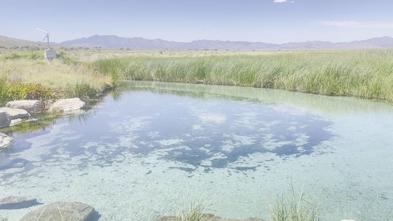 Conservation Efforts For Delicate Ecosystems