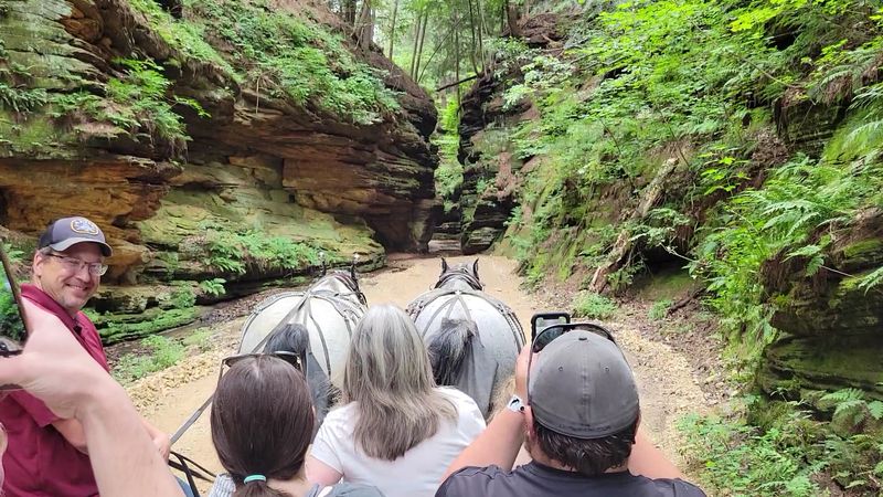 A Perfect Outing For The Whole Family