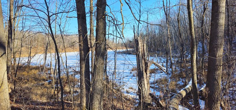 Pillsbury State Forest