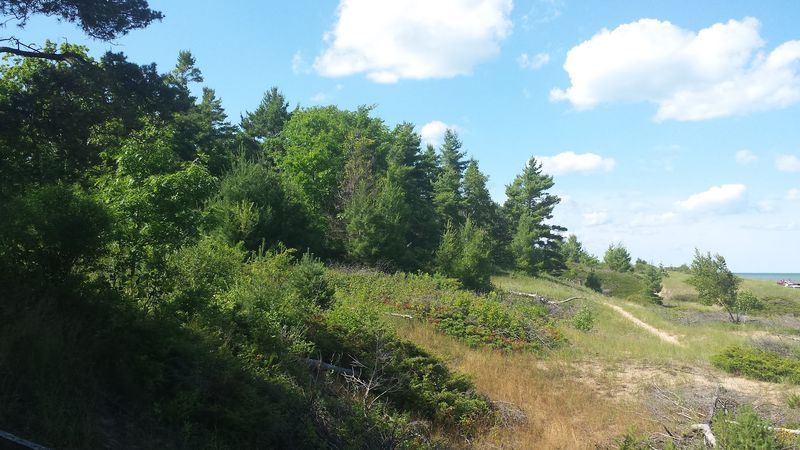 Wildlife And Natural Scenery Throughout The Park