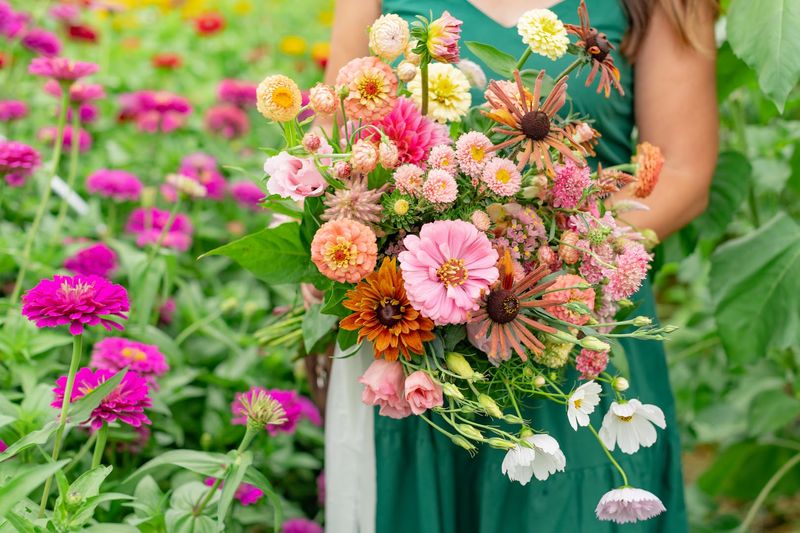 The Flowers You Can Expect To See In Full Bloom