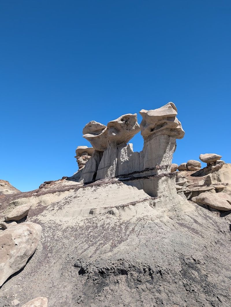 Bisti/De-Na-Zin Wilderness