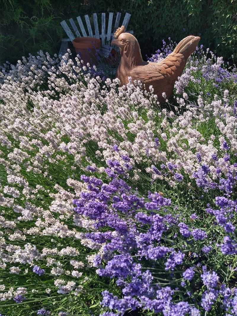 The Garden Maze That Keeps Everyone Guessing