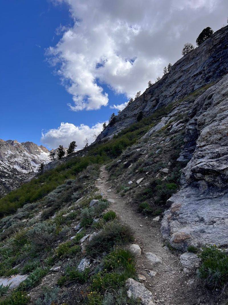 Mountain Goats And Bighorn Sheep Roam The Rocky Slopes
