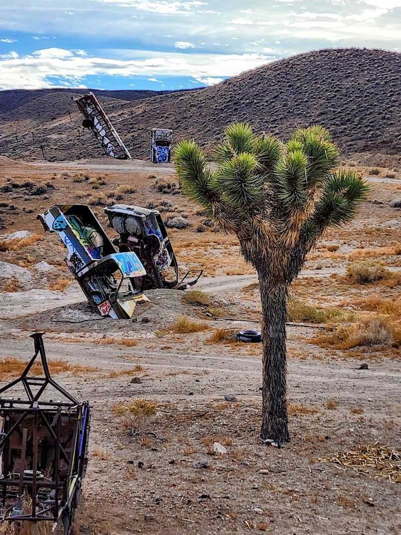 The International Car Forest