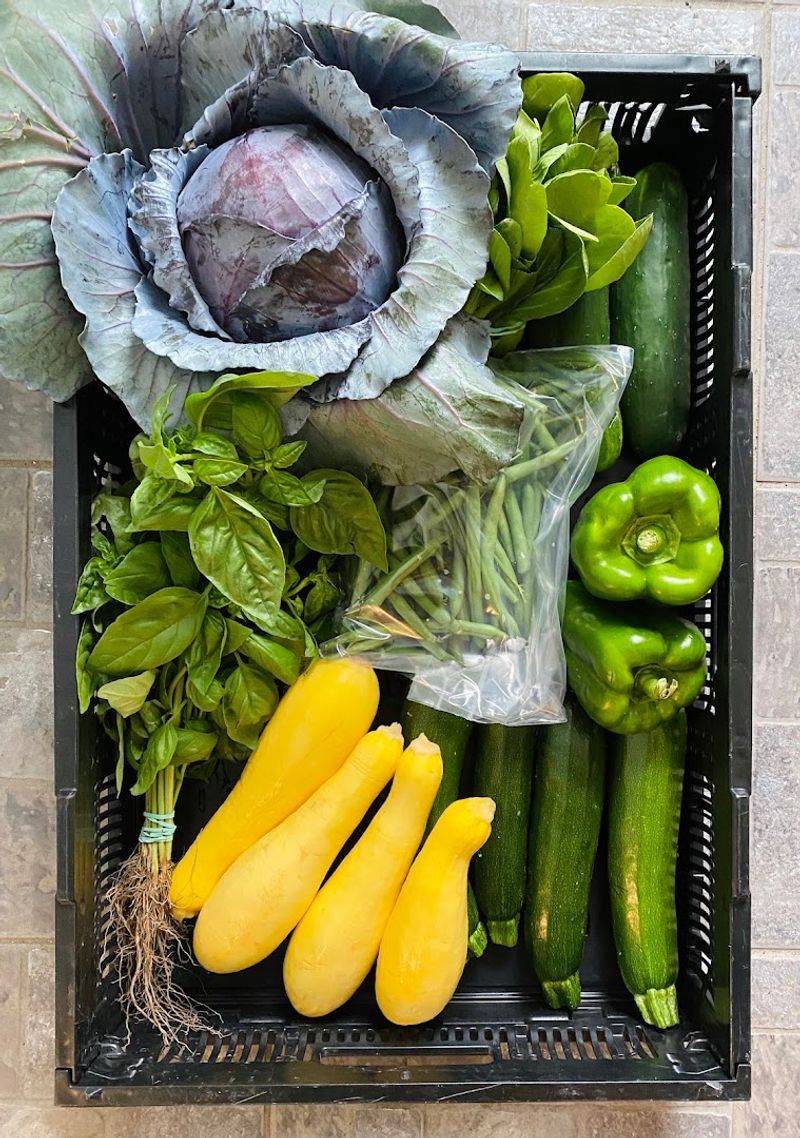 Championing The Earth Through Thoughtful And Responsible Farming Practices