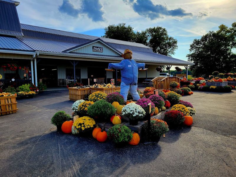 Skelly's Farm Market