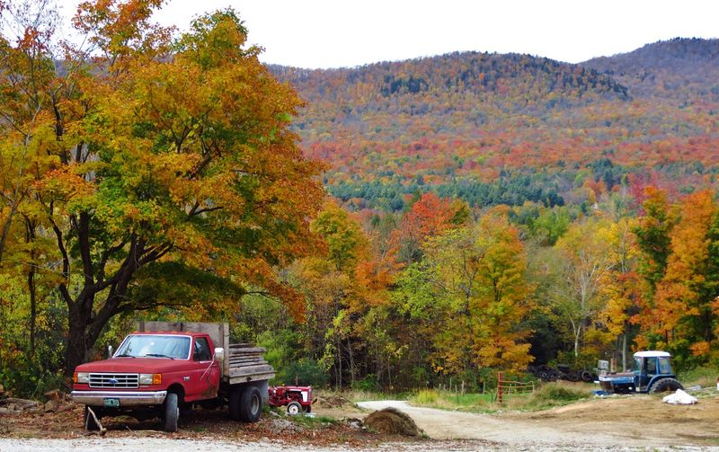 Poultney, VT