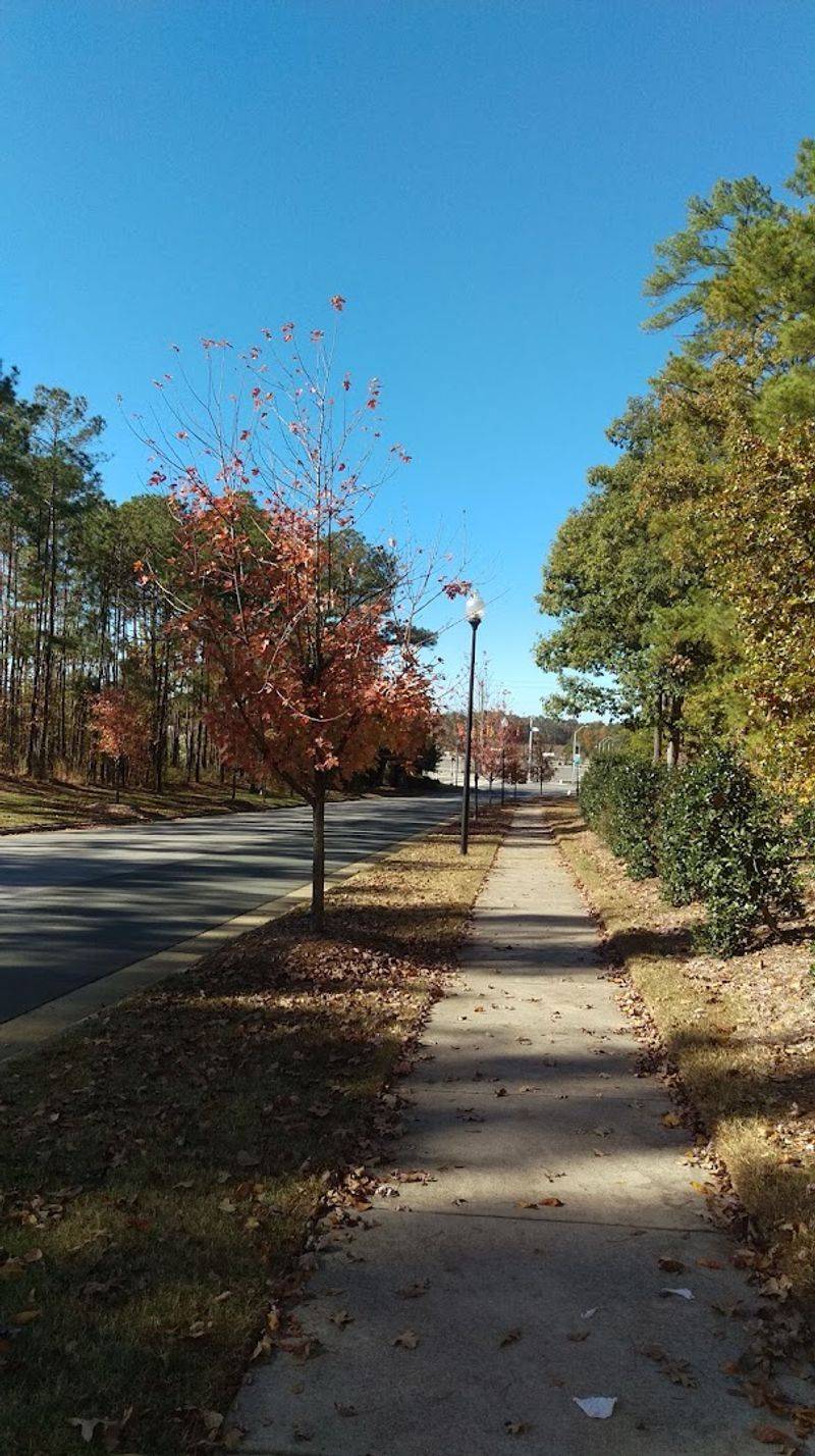Holly Springs