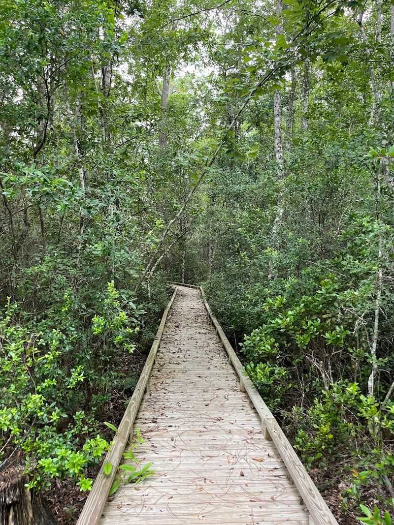 Bells Ferry Unit Of Wolf River Coastal Preserve
