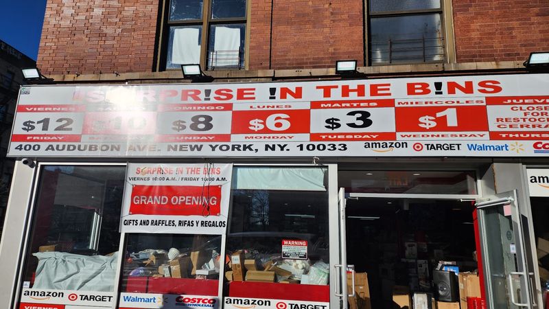 Surprise In The Bins — Washington Heights, Manhattan, NY