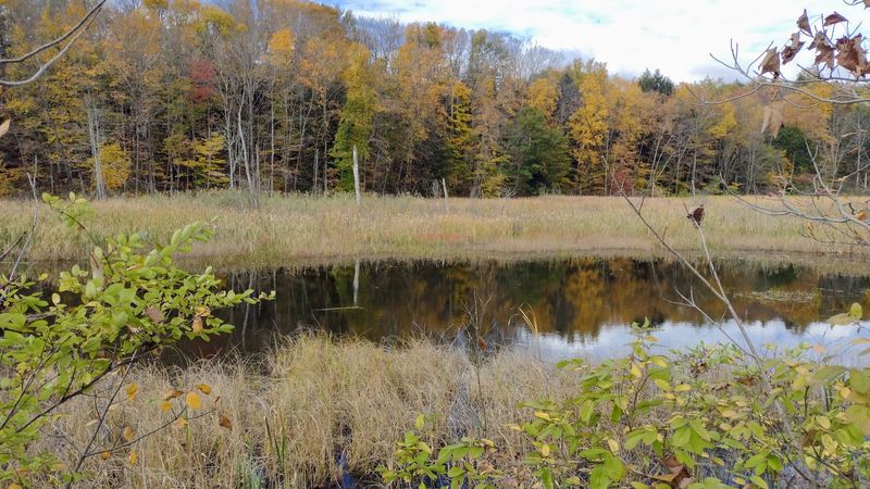 A Haven For Diverse Wildlife