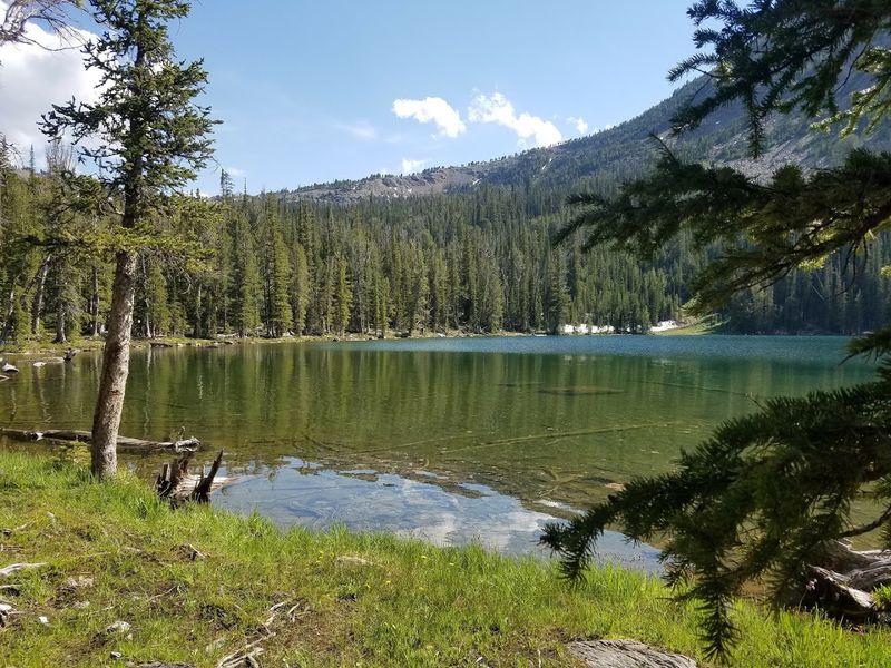 Beaverhead-Deerlodge National Forest
