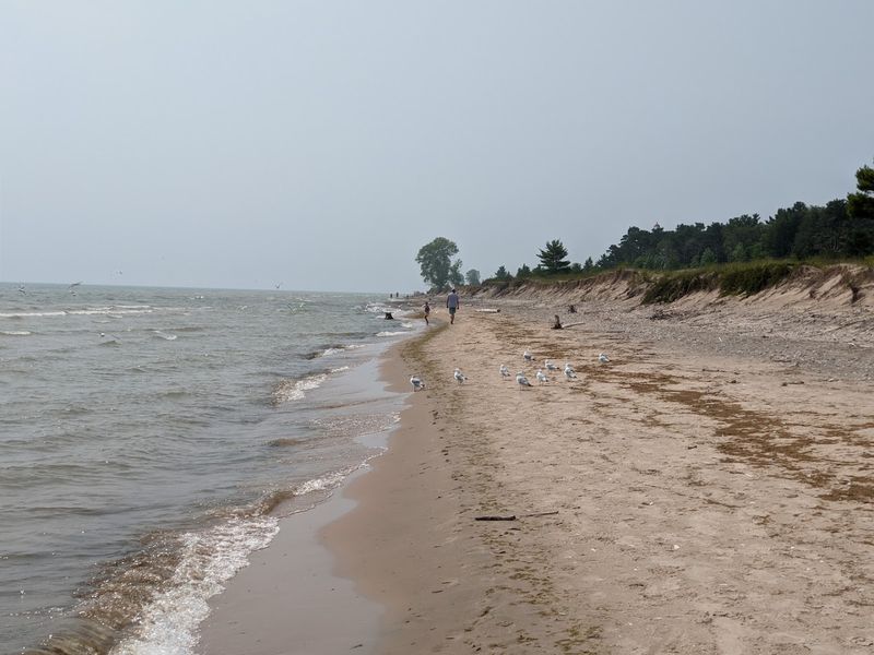 Point Beach State Forest Beach