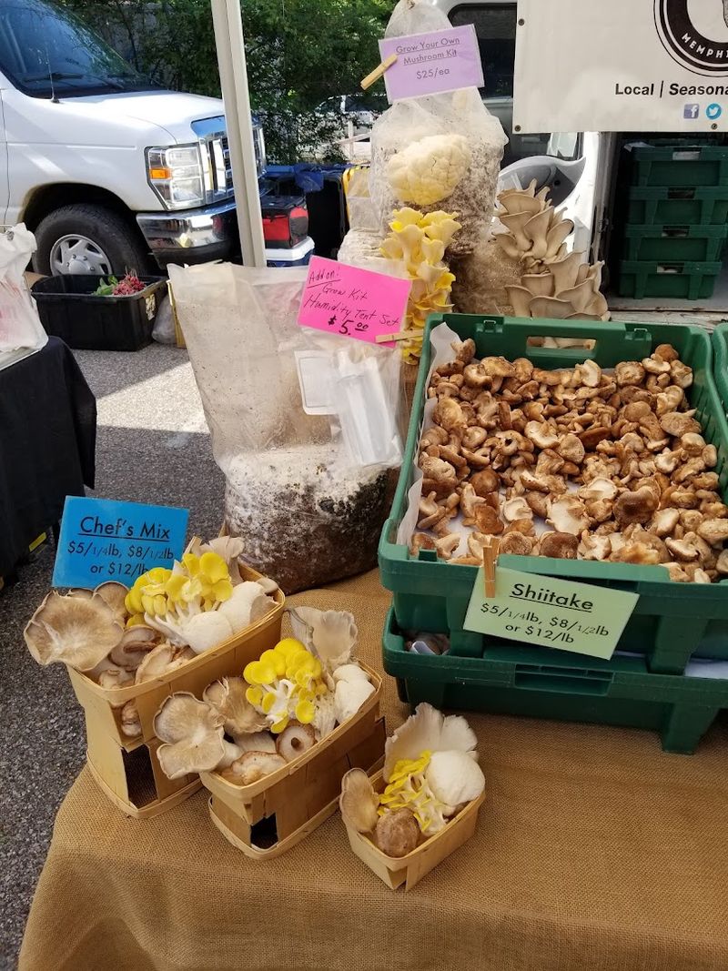 Mushrooms, Microgreens, And Market Surprises
