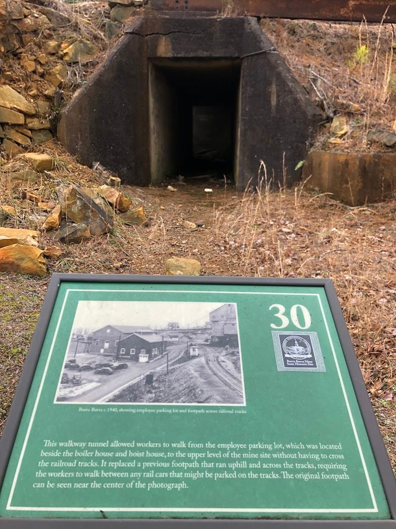 Burra Burra Mine Site, Ducktown