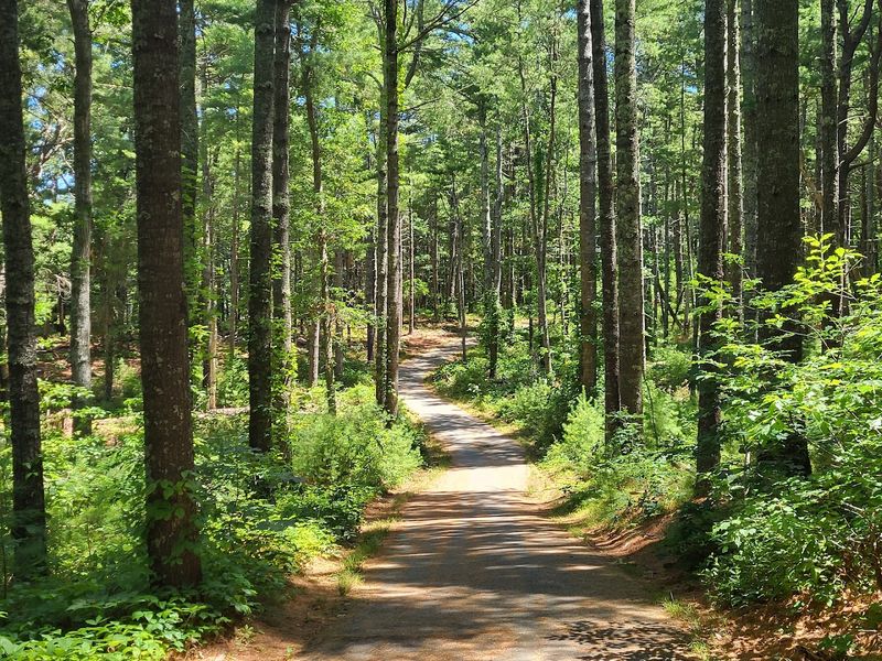 Nickerson State Park