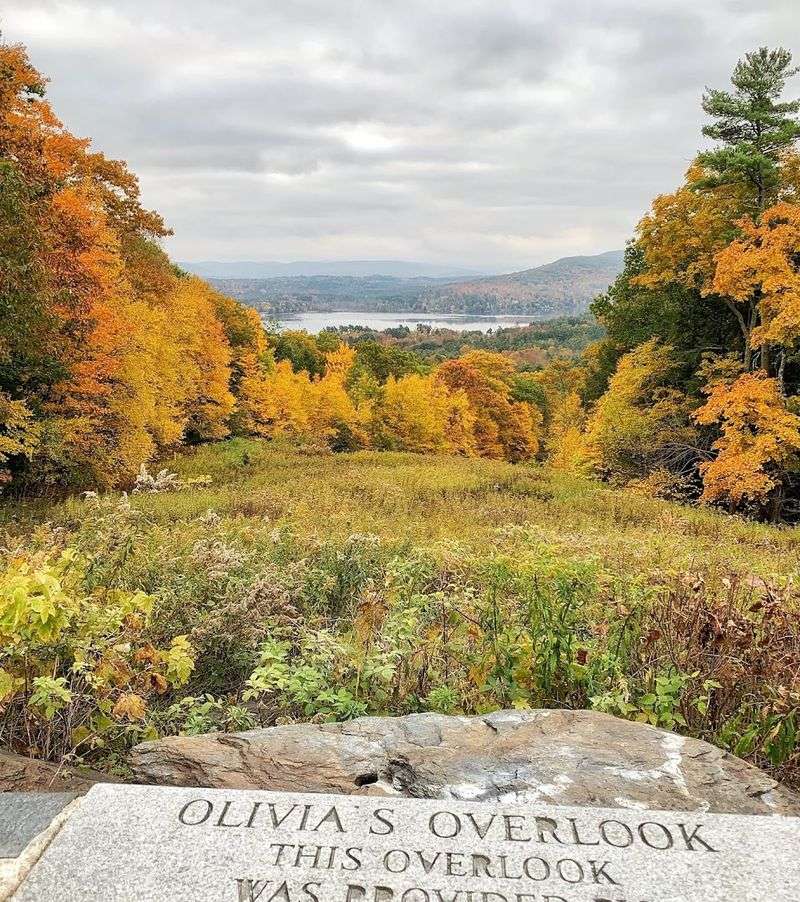 Olivia's Overlook At Yokun Ridge Reserve