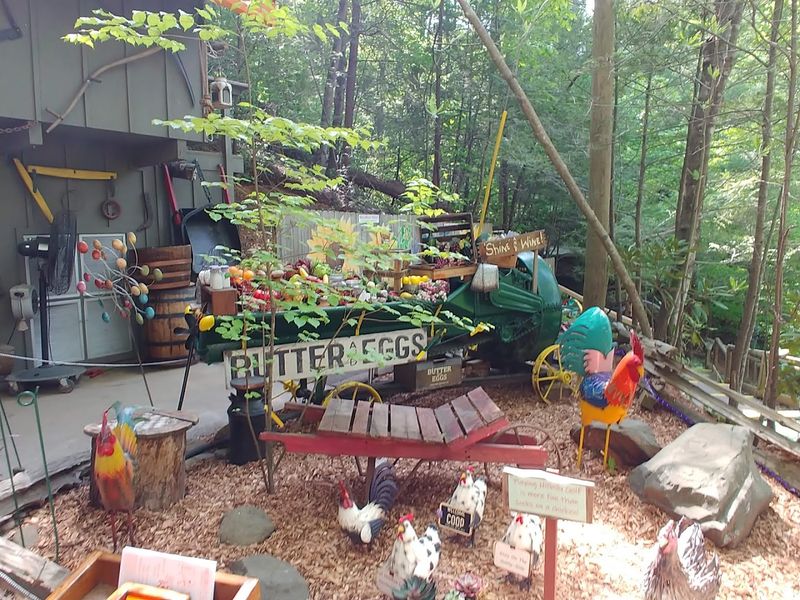 Whimsical Hazards Of The Backwoods