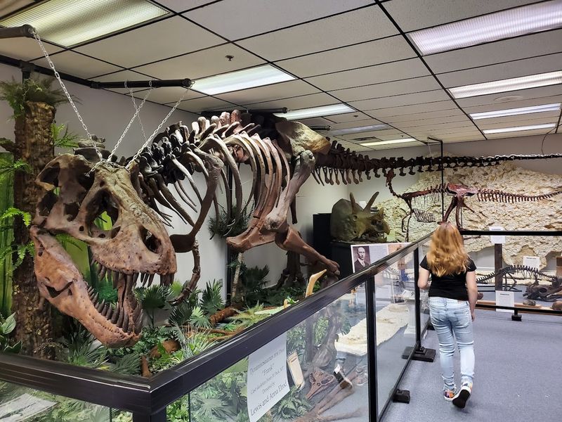 Earth Experience Museum, Murfreesboro