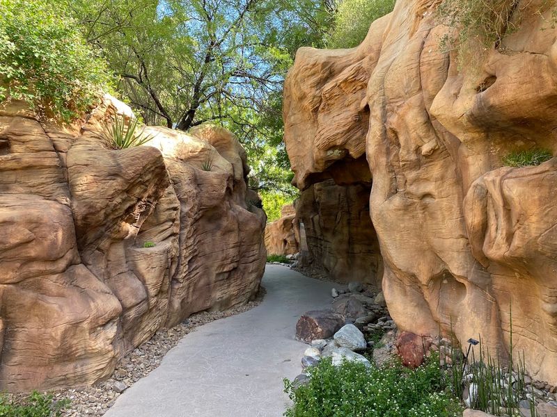 The Exhibit Sits Inside The Springs Preserve Botanical Garden