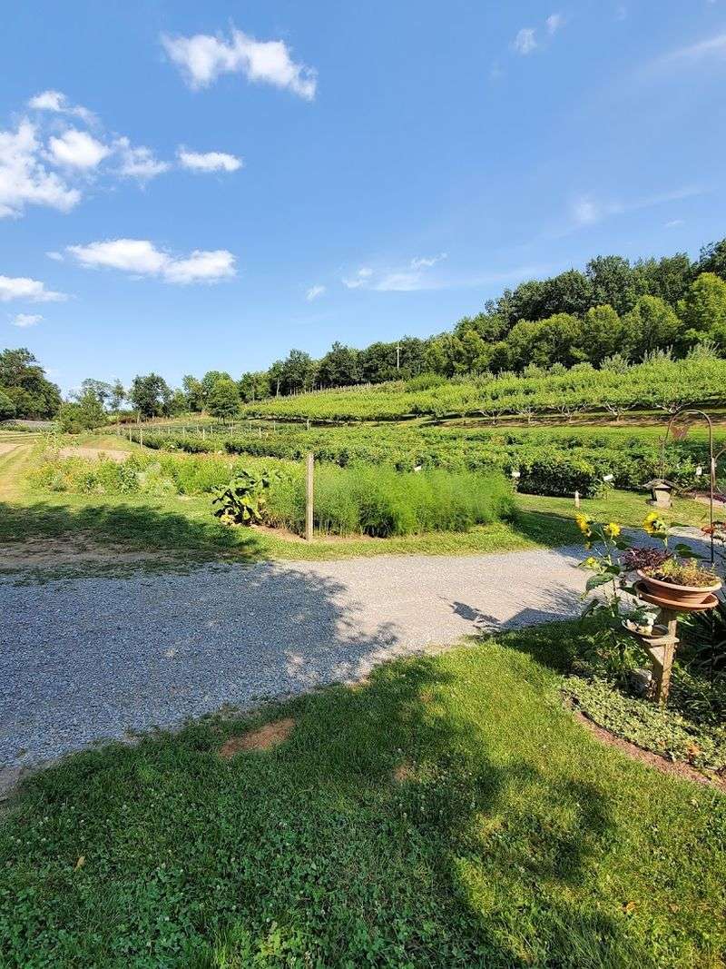 Sustainable Farming Practices