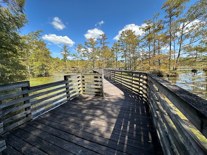 Sam D. Hamilton Noxubee National Wildlife Refuge