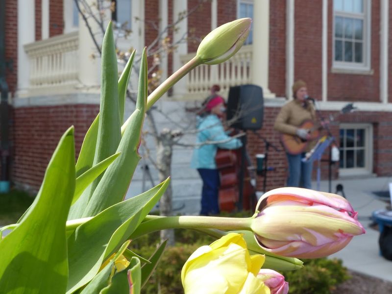 Live Music And Community Energy