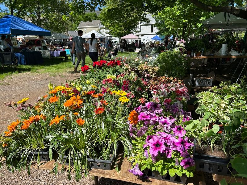 Fresh Produce And Farm Stands That Change The Whole Vibe