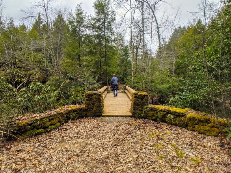 Pickett CCC Memorial State Park Campground, Jamestown