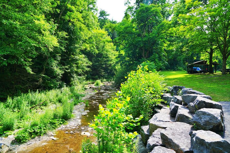 The Trail Gets You There Fast And Happy