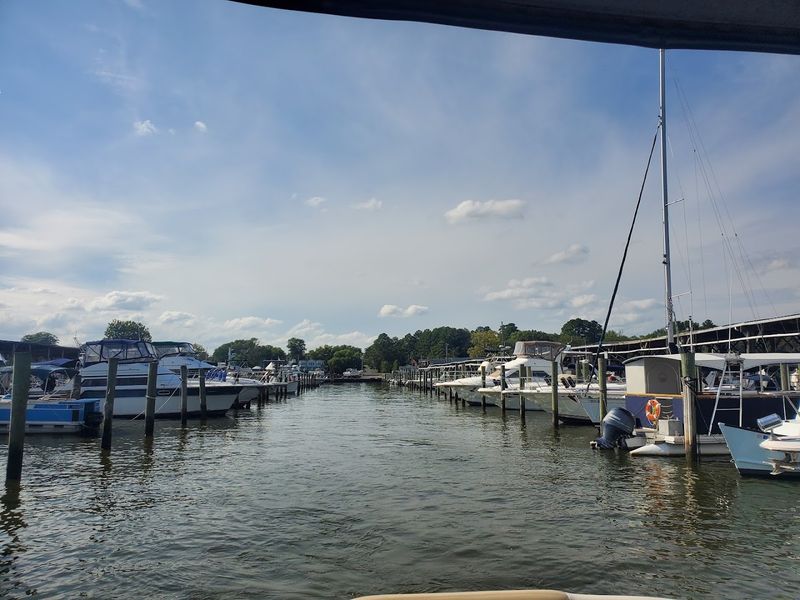 Sustainability Practices In Maryland Crab Harvesting