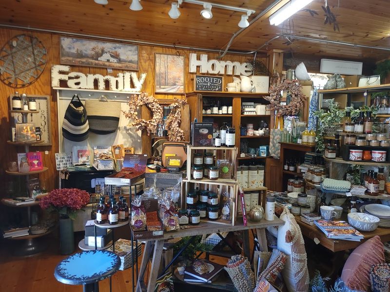 Unexpected Treasures Beyond The Greenhouses
