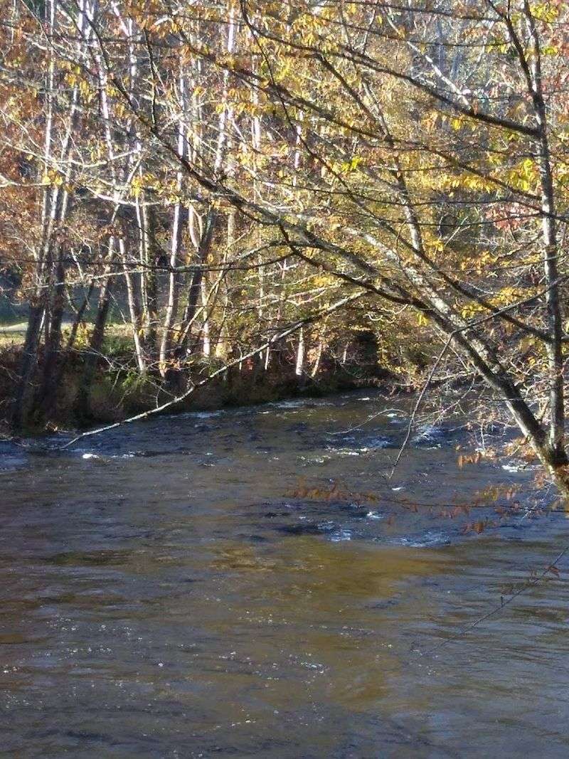 The Little Pigeon River And Its Quiet Rewards