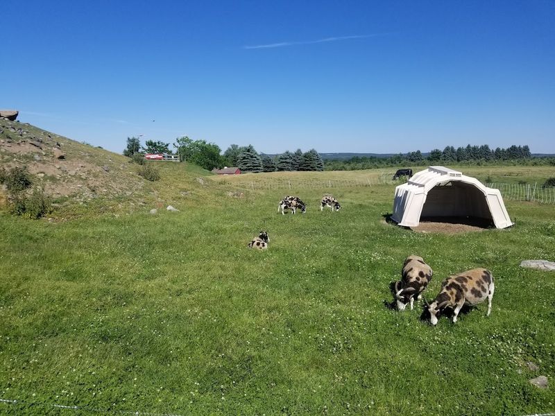 Davis Farmland