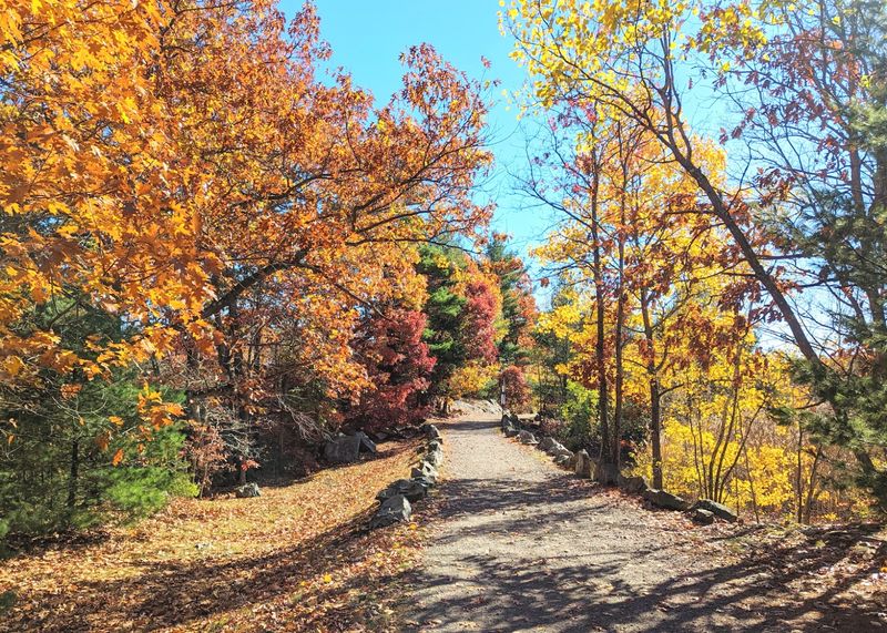 Rock Circuit Trail