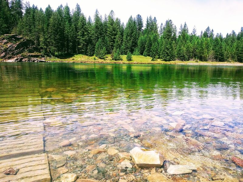 The Yaak Has Been Considered For Wild And Scenic River Status